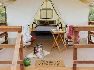 2 3 Wildhaven Glamping